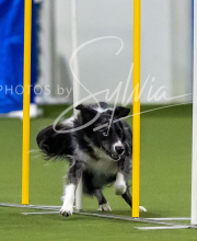 2025-7-12-July-Trial-89-2