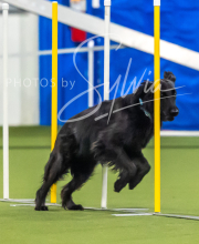 2025-7-12-July-Trial-892