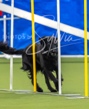 2025-7-12-July-Trial-893