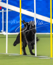 2025-7-12-July-Trial-894