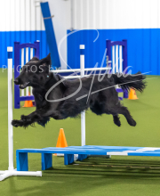 2025-7-12-July-Trial-901