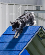 2025-7-12-July-Trial-906