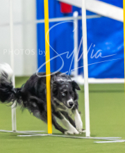 2025-7-12-July-Trial-908