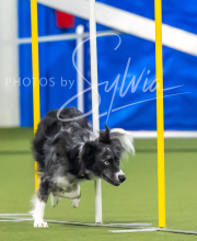 2025-7-12-July-Trial-911