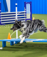 2025-7-12-July-Trial-914