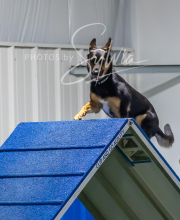 2025-7-12-July-Trial-917