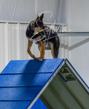 2025-7-12-July-Trial-920