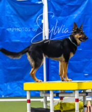 2025-7-12-July-Trial-922