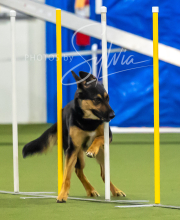 2025-7-12-July-Trial-924