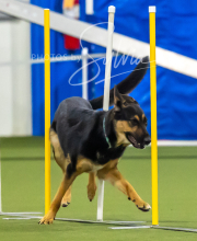 2025-7-12-July-Trial-926