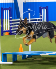 2025-7-12-July-Trial-935