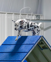 2025-7-12-July-Trial-937