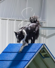 2025-7-12-July-Trial-945