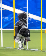 2025-7-12-July-Trial-948