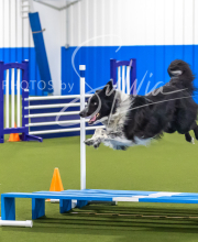 2025-7-12-July-Trial-953