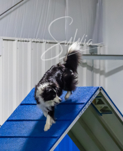 2025-7-12-July-Trial-957