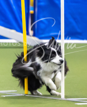 2025-7-12-July-Trial-962