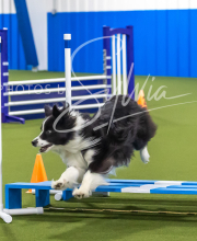 2025-7-12-July-Trial-963