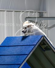 2025-7-12-July-Trial-968