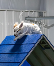 2025-7-12-July-Trial-969