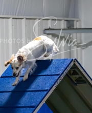 2025-7-12-July-Trial-970