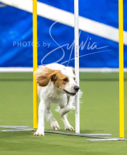 2025-7-12-July-Trial-973