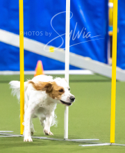 2025-7-12-July-Trial-977