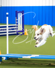 2025-7-12-July-Trial-978