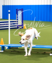 2025-7-12-July-Trial-979