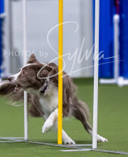 2025-7-12-July-Trial-98-2