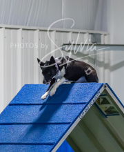 2025-7-12-July-Trial-982