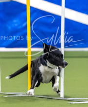 2025-7-12-July-Trial-984