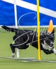 2025-7-12-July-Trial-986