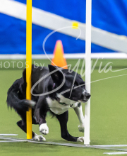 2025-7-12-July-Trial-987