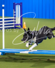 2025-7-12-July-Trial-988