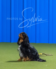 2025-7-12-July-Trial-992