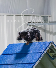 2025-7-12-July-Trial-996