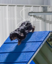 2025-7-12-July-Trial-998