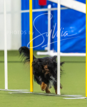 2025-7-12-July-Trial-999