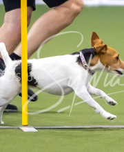 2025-7-13-July-Trial-105