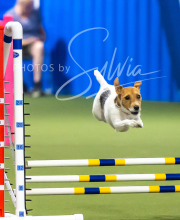 2025-7-13-July-Trial-114