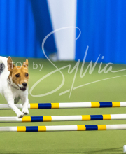 2025-7-13-July-Trial-115