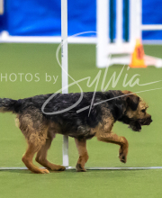 2025-7-13-July-Trial-120