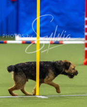 2025-7-13-July-Trial-126