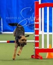 2025-7-13-July-Trial-129