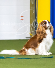 2025-7-13-July-Trial-139