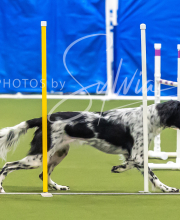 2025-7-13-July-Trial-14