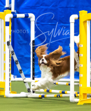 2025-7-13-July-Trial-141