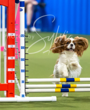 2025-7-13-July-Trial-143