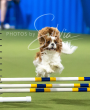 2025-7-13-July-Trial-144